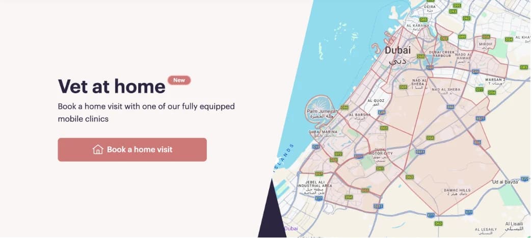 PetsFirst - AI Support & Booking Agent for a UAE Veterinary Chain — project image 3